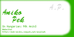 aniko pek business card