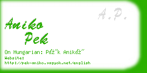 aniko pek business card